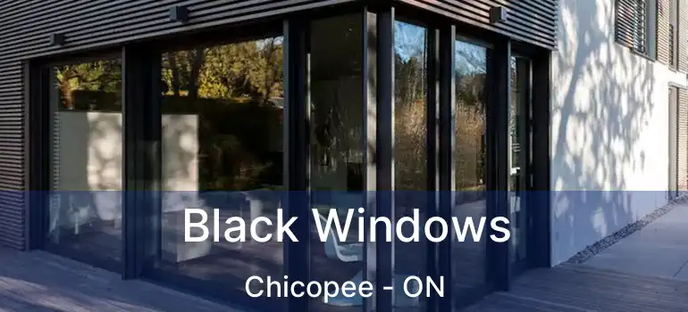  Black Windows Chicopee - ON