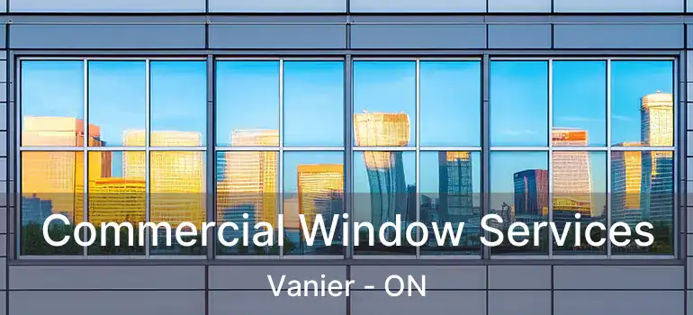  Commercial Window Services Vanier - ON