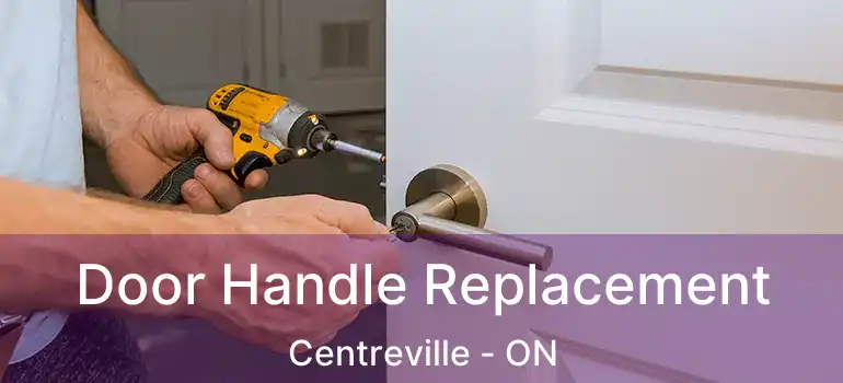  Door Handle Replacement Centreville - ON