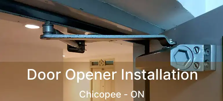  Door Opener Installation Chicopee - ON