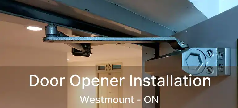  Door Opener Installation Westmount - ON