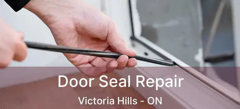  Door Seal Repair Victoria Hills - ON