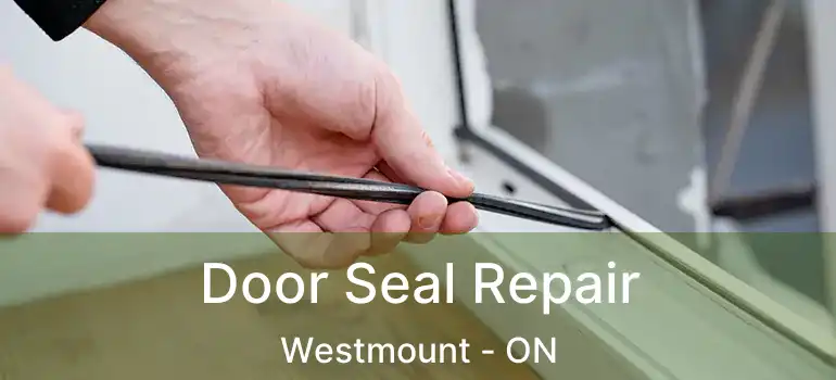  Door Seal Repair Westmount - ON