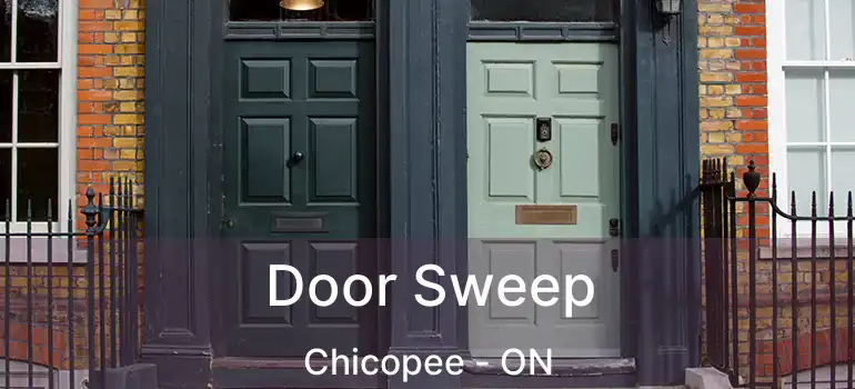  Door Sweep Chicopee - ON