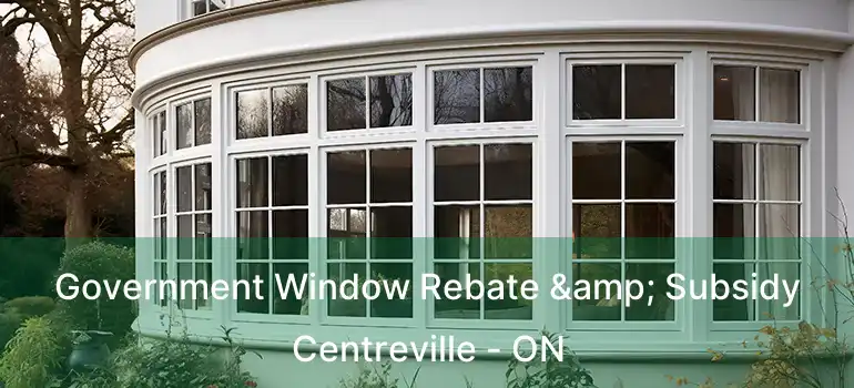 Government Window Rebate & Subsidy Centreville - ON