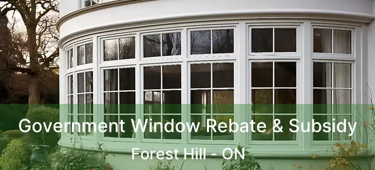  Government Window Rebate & Subsidy Forest Hill - ON