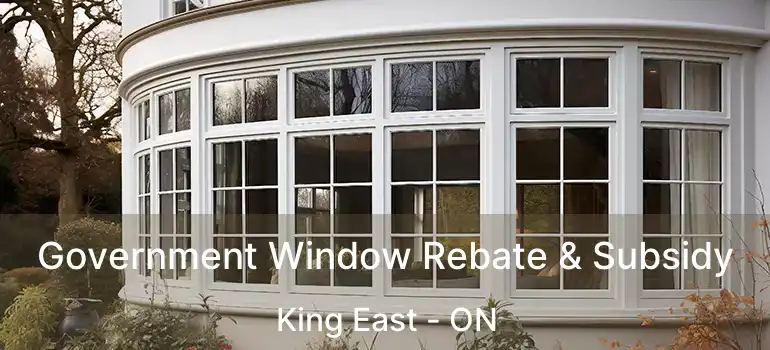  Government Window Rebate & Subsidy King East - ON