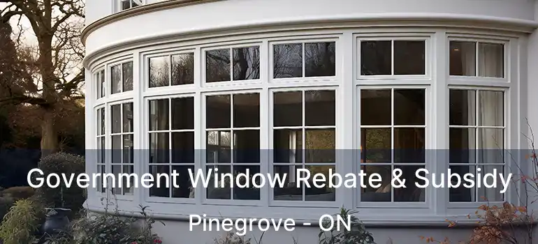  Government Window Rebate & Subsidy Pinegrove - ON