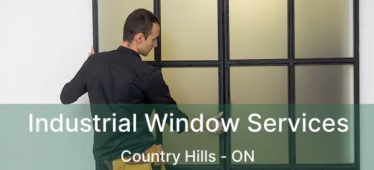  Industrial Window Services Country Hills - ON