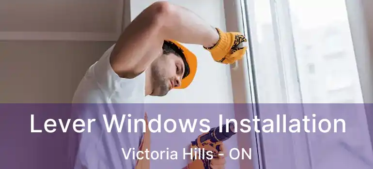  Lever Windows Installation Victoria Hills - ON