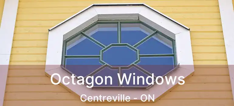  Octagon Windows Centreville - ON