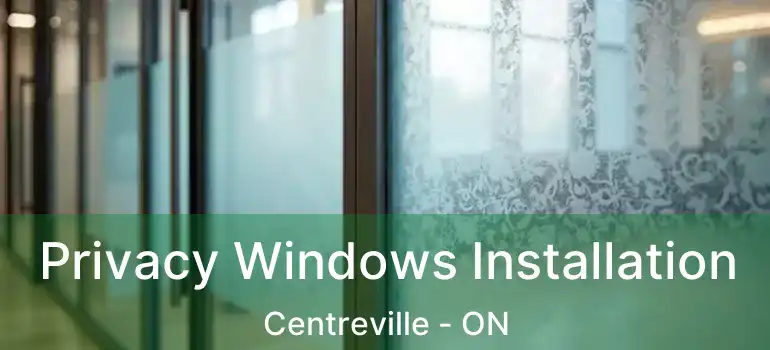  Privacy Windows Installation Centreville - ON