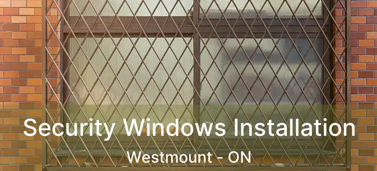  Security Windows Installation Westmount - ON