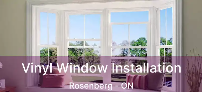  Vinyl Window Installation Rosenberg - ON