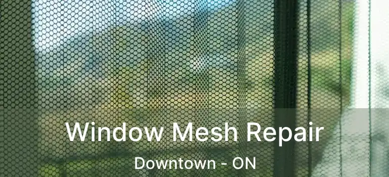  Window Mesh Repair Downtown - ON