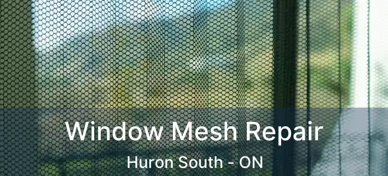  Window Mesh Repair Huron South - ON