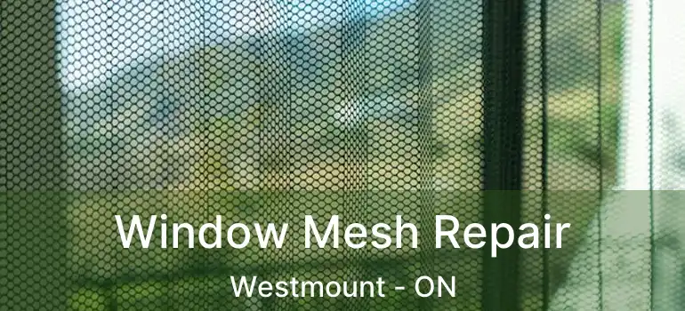  Window Mesh Repair Westmount - ON