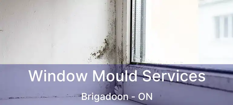  Window Mould Services Brigadoon - ON