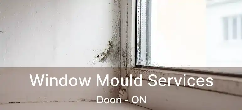  Window Mould Services Doon - ON