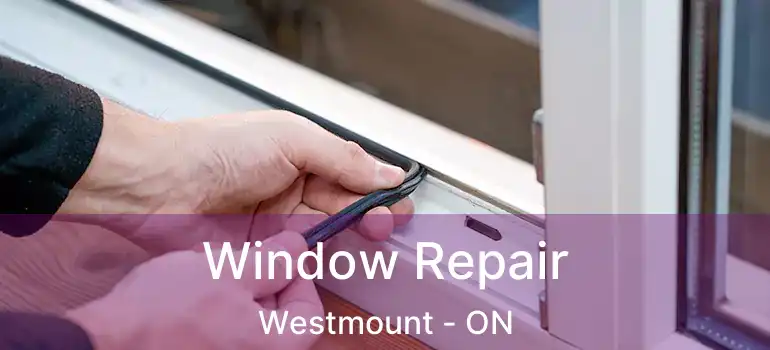  Window Repair Westmount - ON