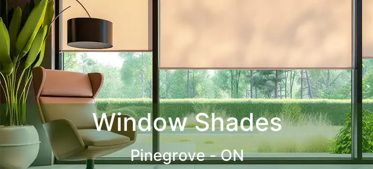 Window Shades Pinegrove - ON