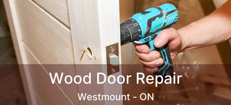  Wood Door Repair Westmount - ON
